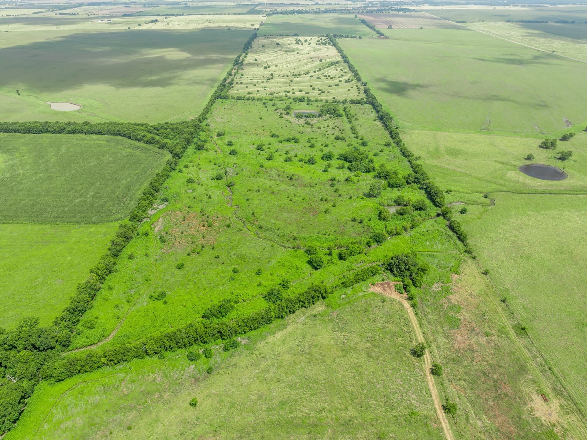 100 acres in Coryell County gallery image 4