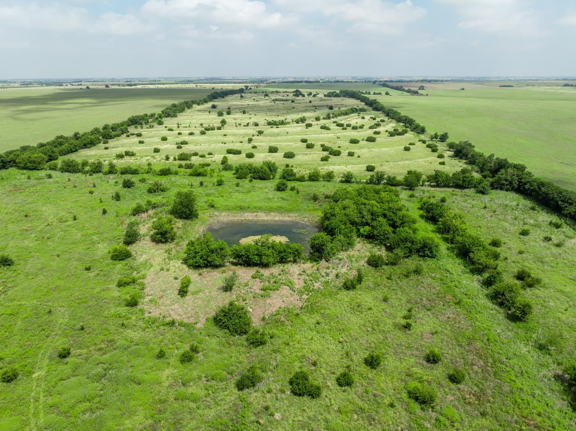 100 acres in Coryell County - photo 32