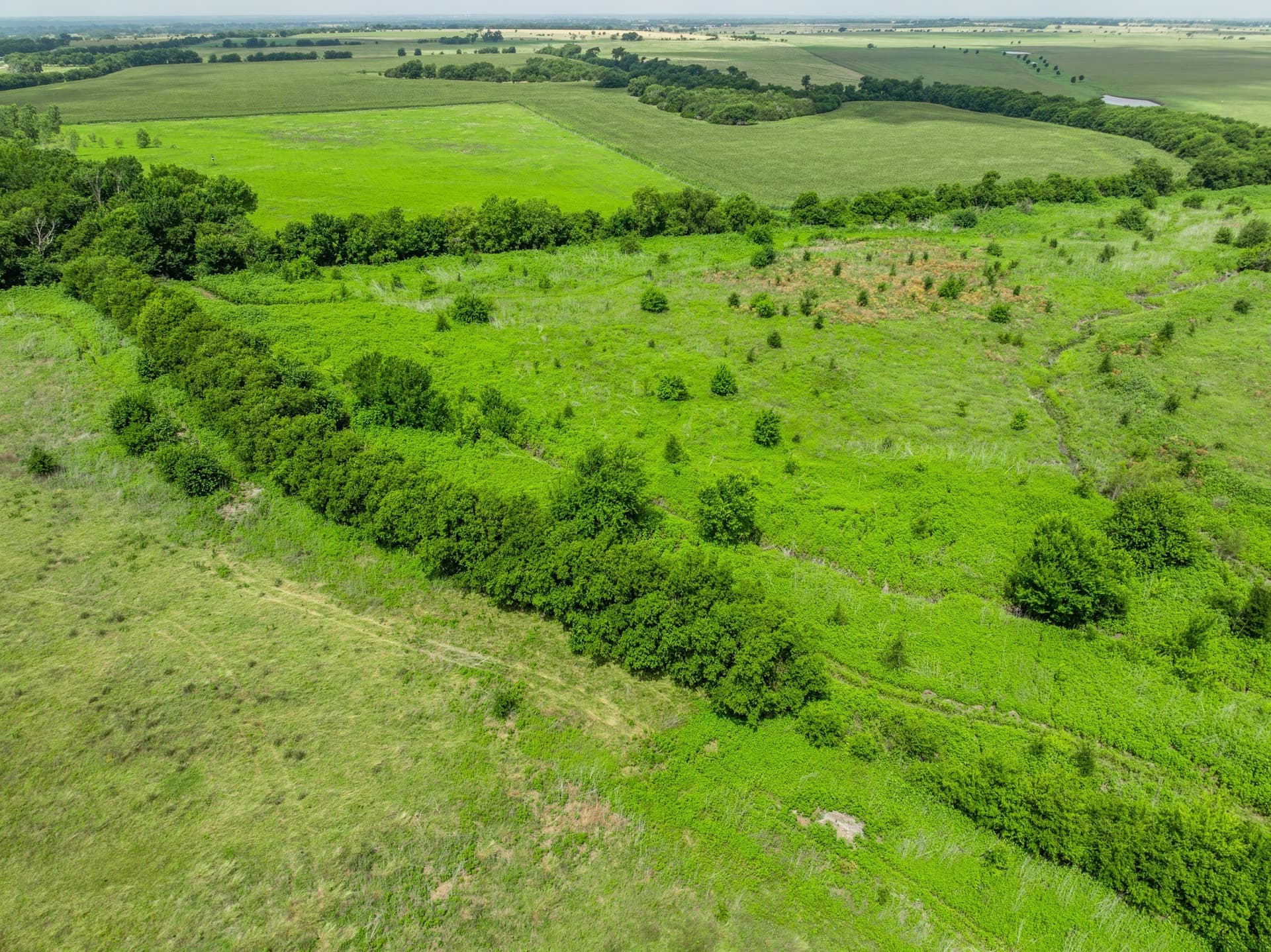100 acres in Coryell County - photo 8