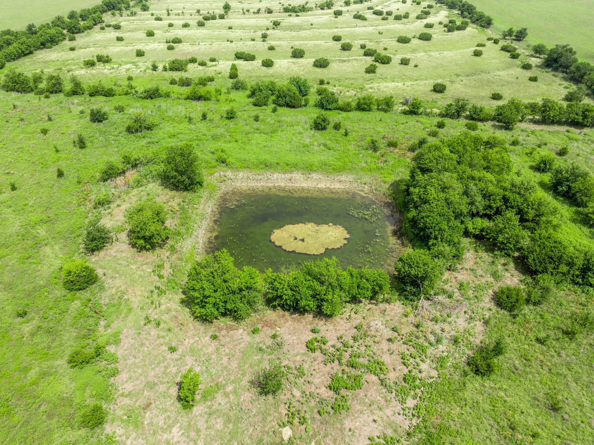100 acres in Coryell County - photo 33