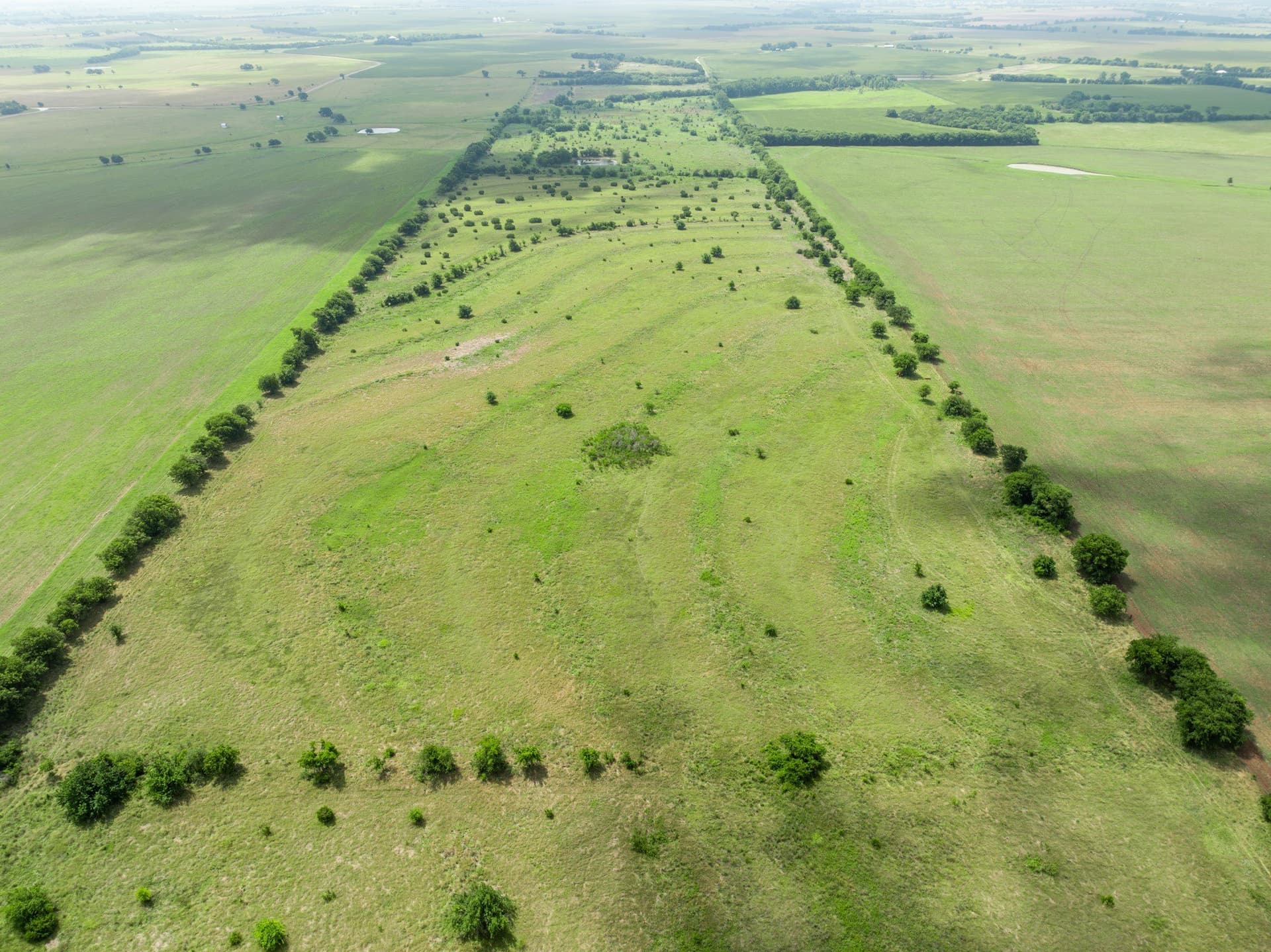 100 acres in Coryell County - photo 38