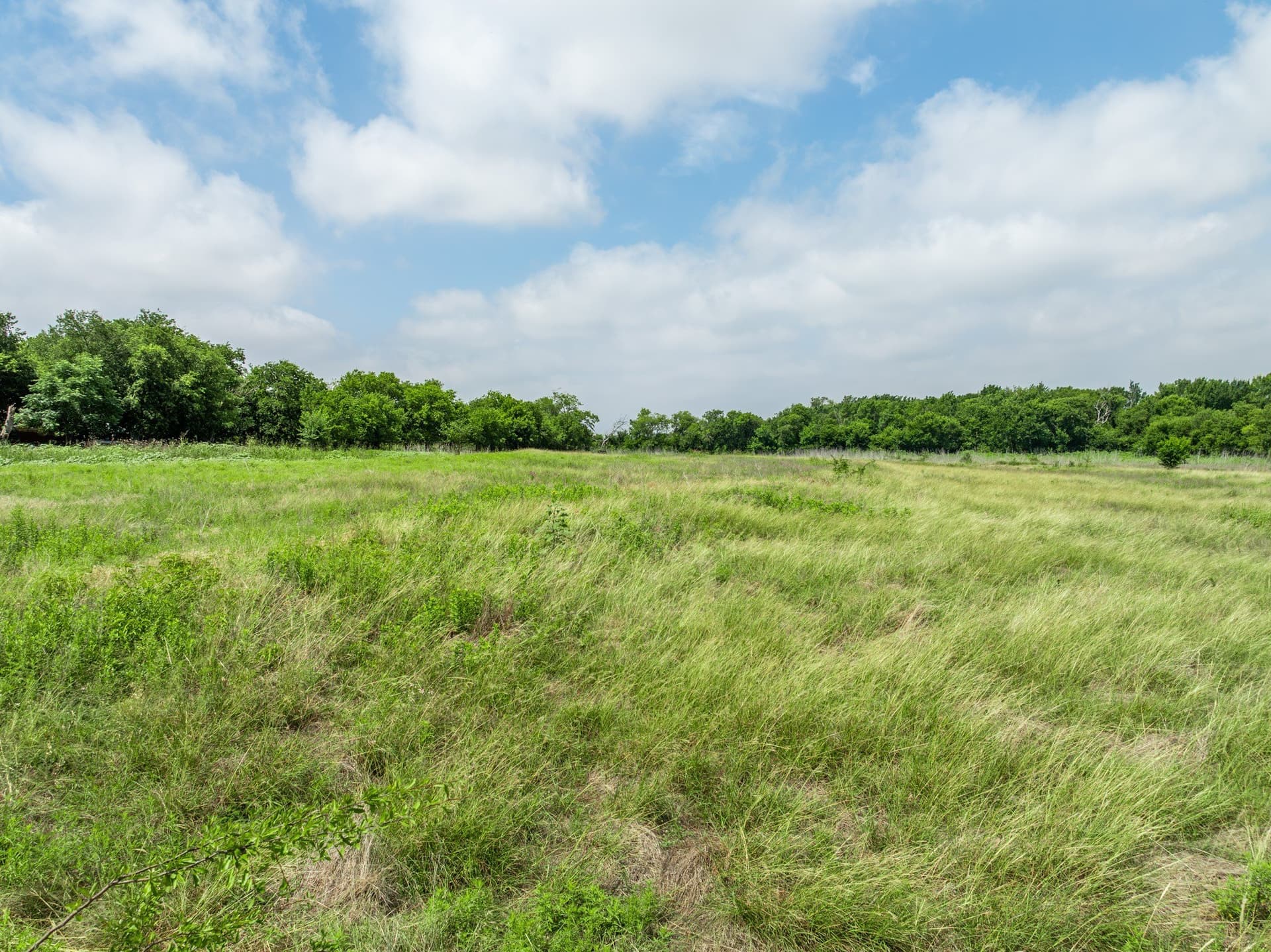 100 acres in Coryell County - photo 23