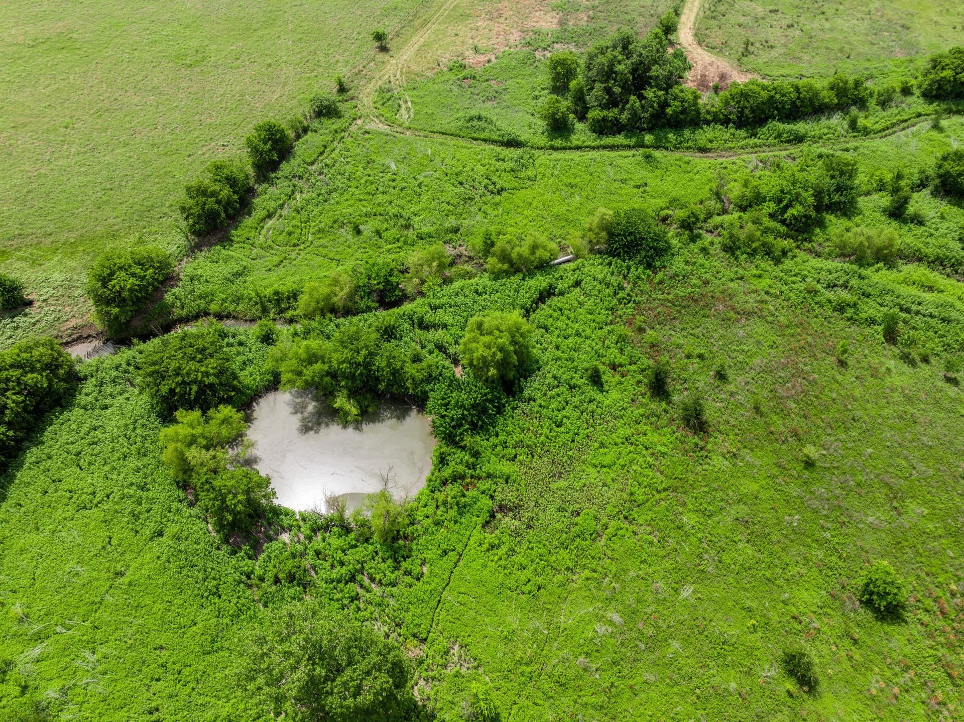 100 acres in Coryell County - photo 30