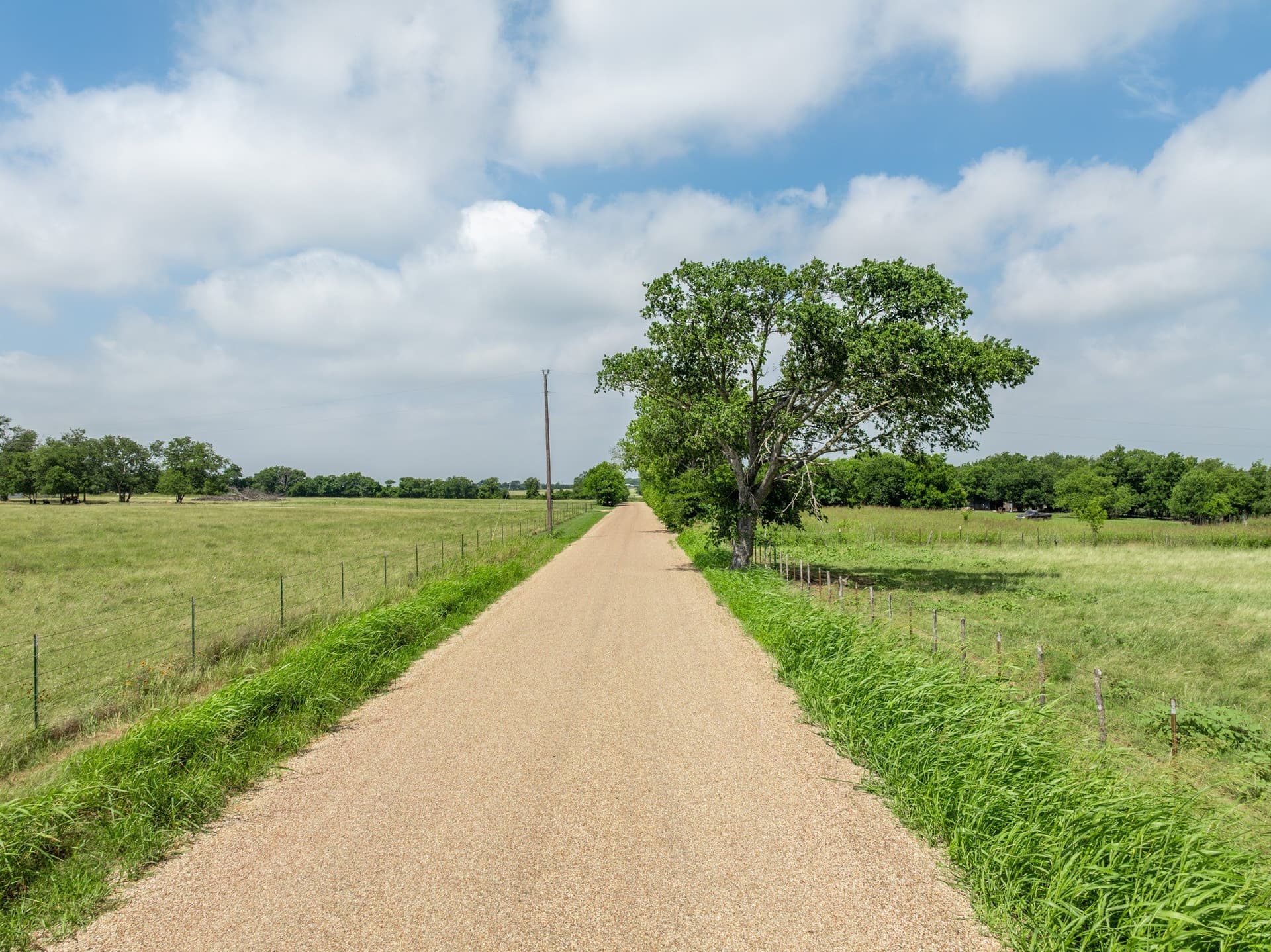 100 acres in Coryell County gallery image 3