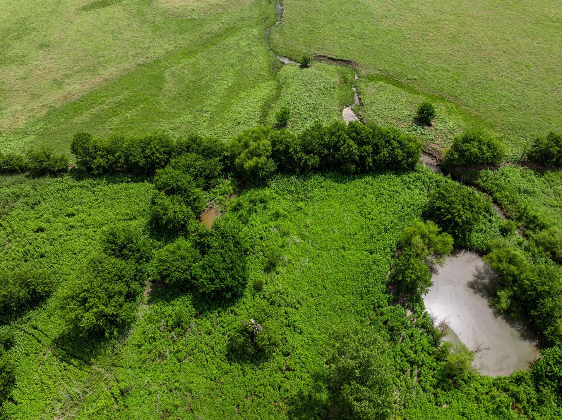 100 acres in Coryell County - photo 10