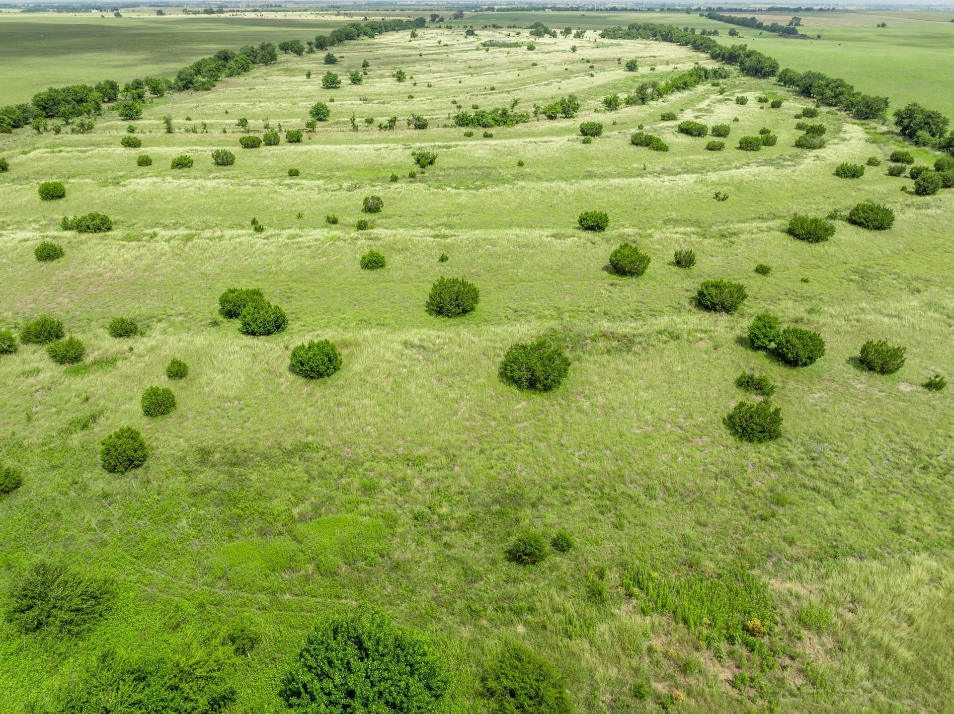 100 acres in Coryell County - photo 35