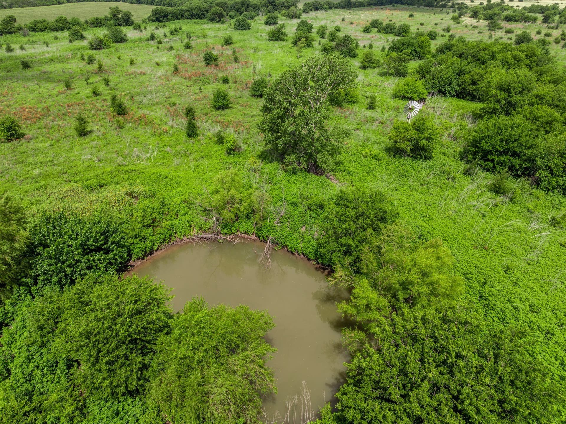100 acres in Coryell County - photo 9
