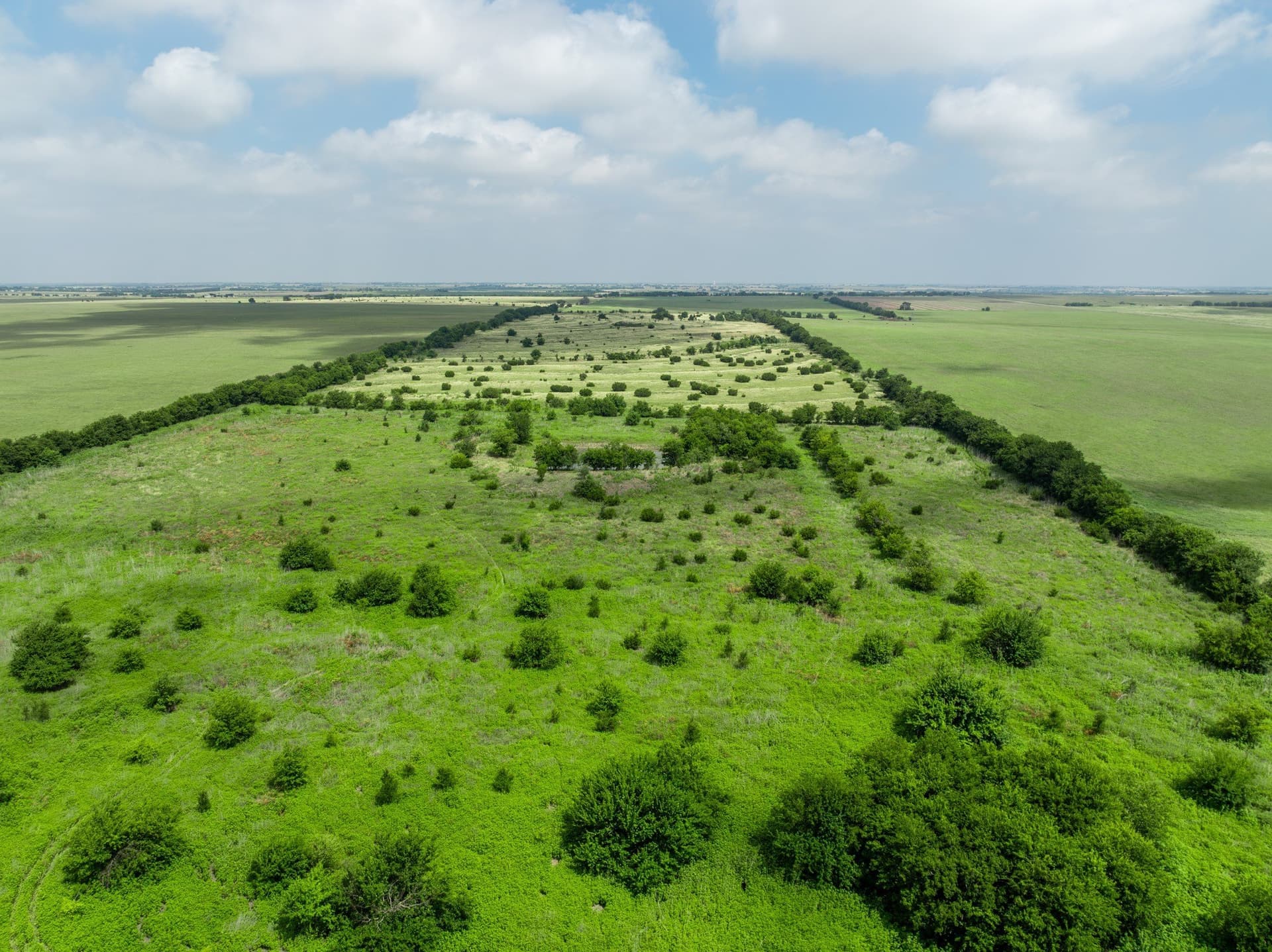 100 acres in Coryell County - photo 31