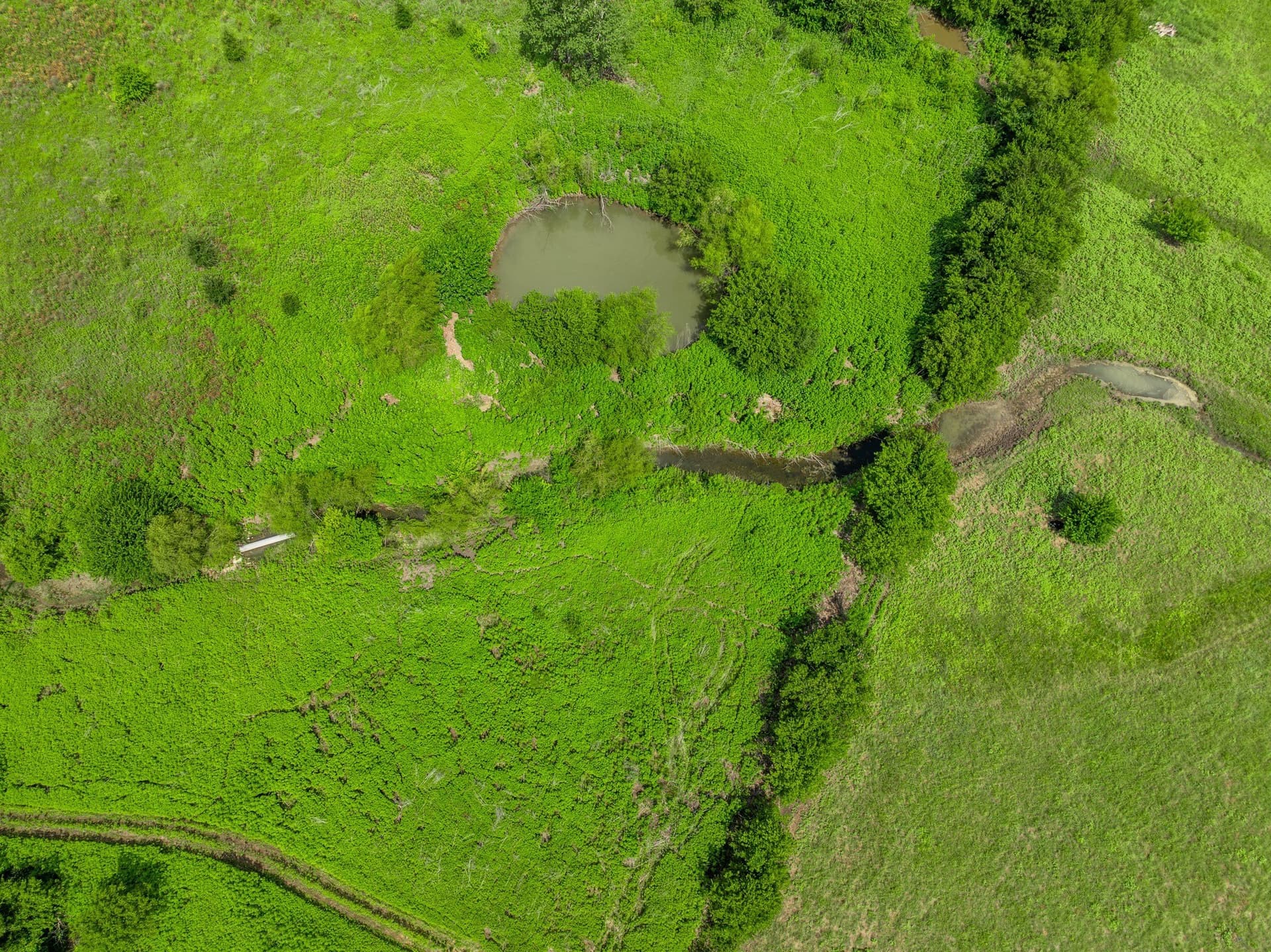 100 acres in Coryell County - photo 26