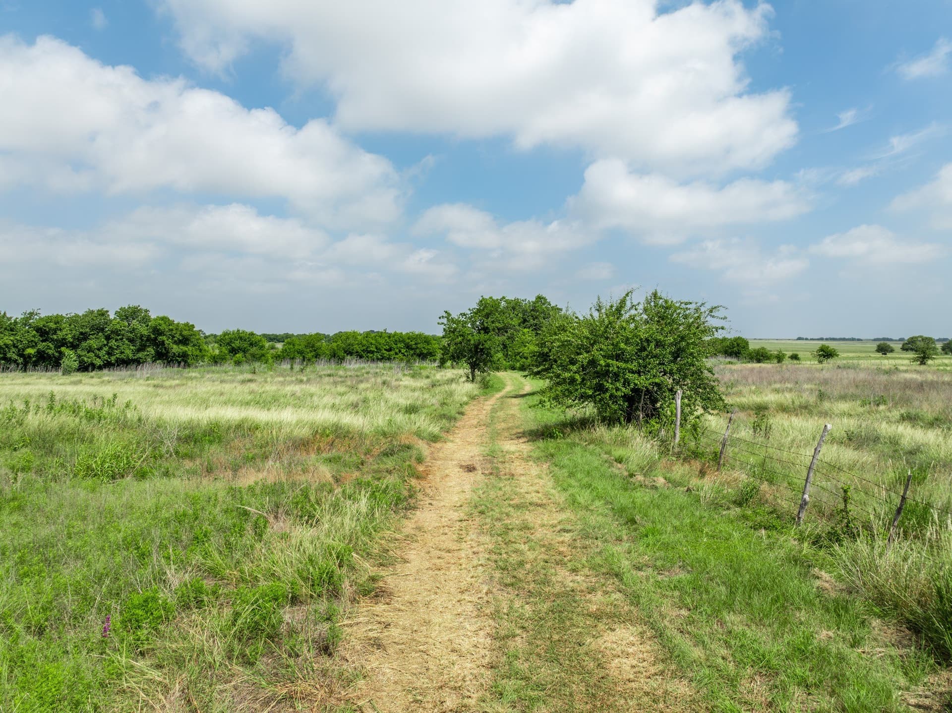 100 acres in Coryell County - photo 22