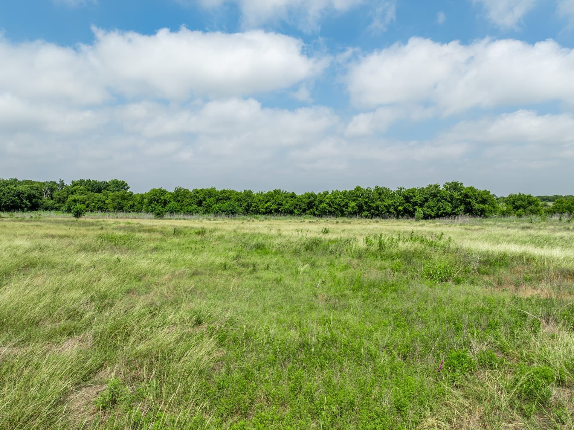 100 acres in Coryell County - photo 7