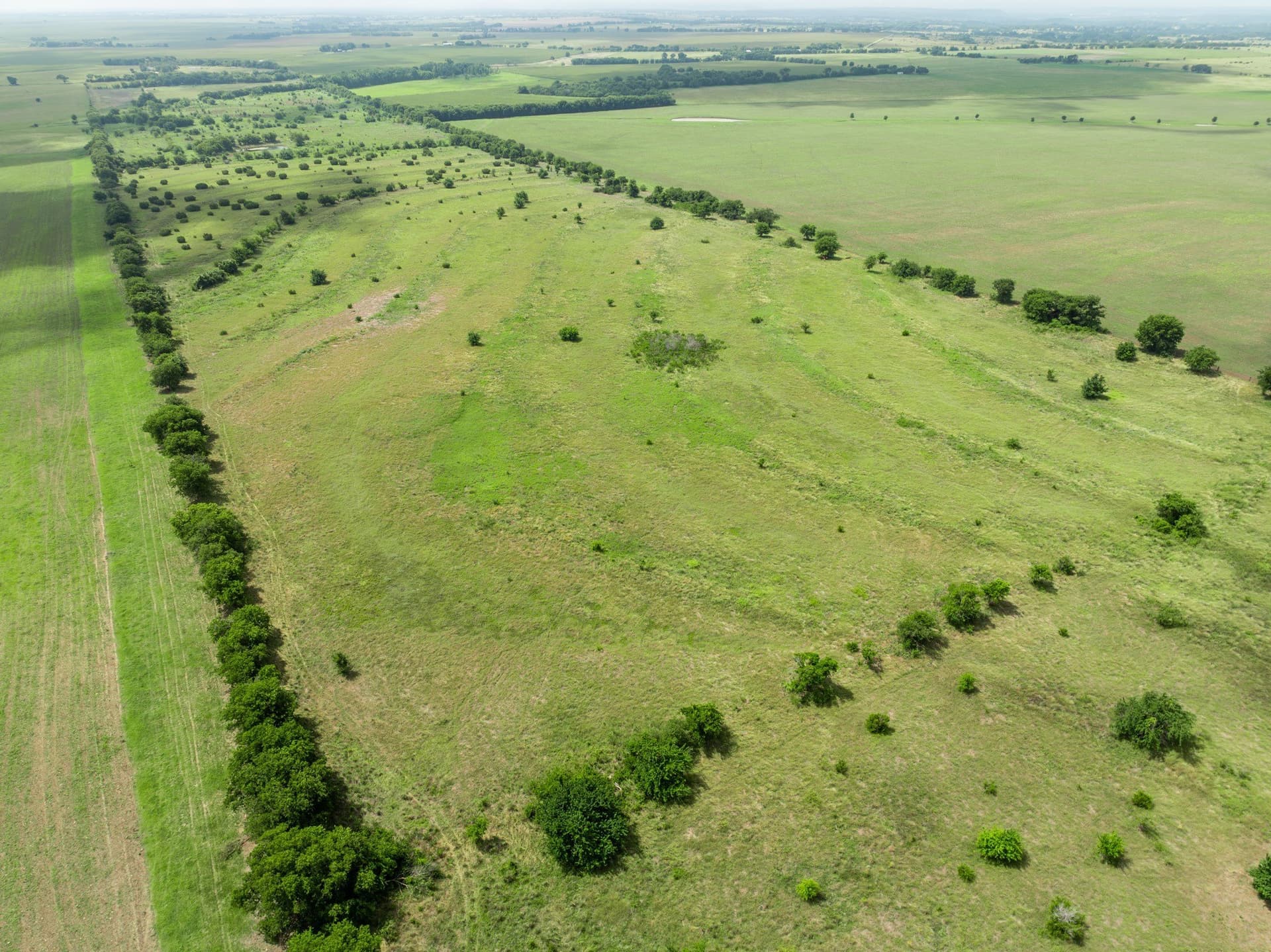 100 acres in Coryell County - photo 39