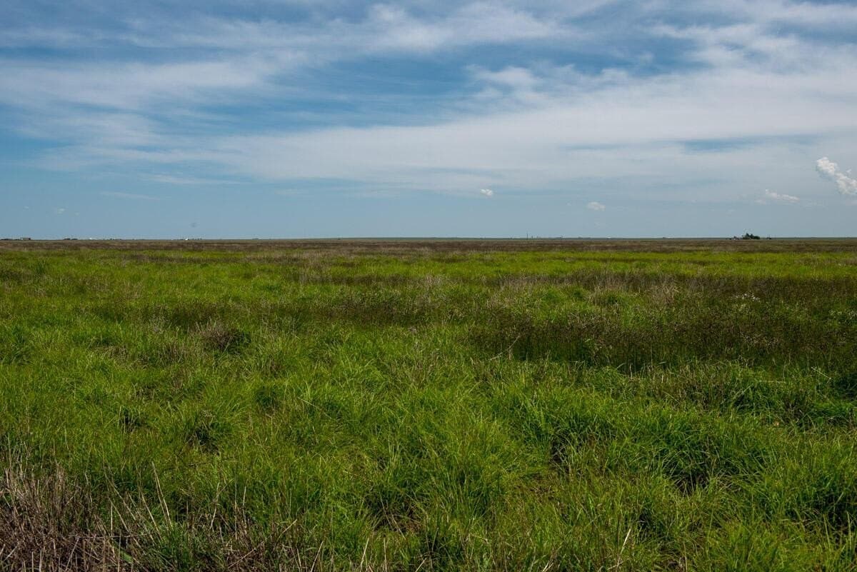 176.5 acres in Randall County - photo 8