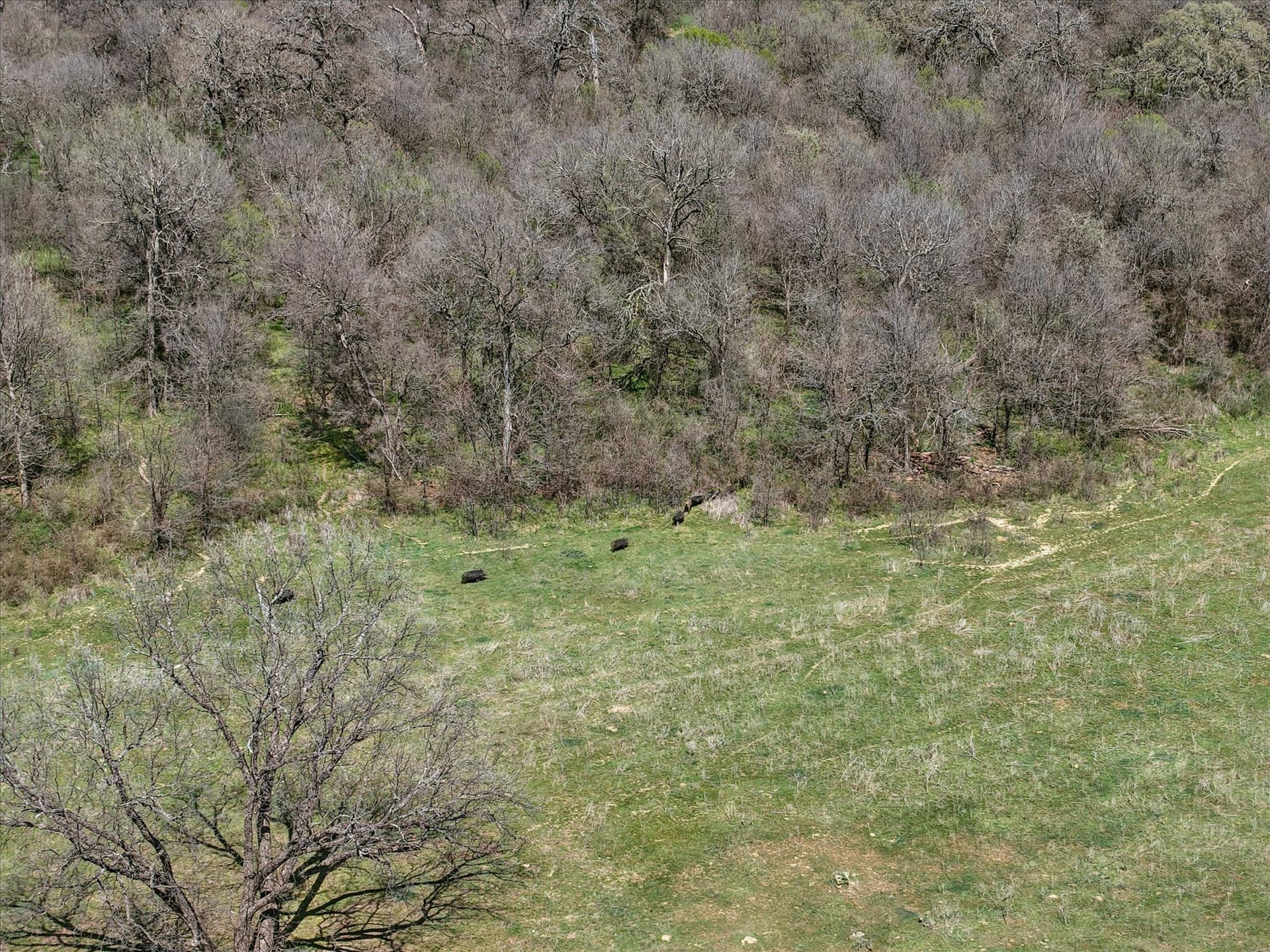 272.57 acres in Jack County - photo 8