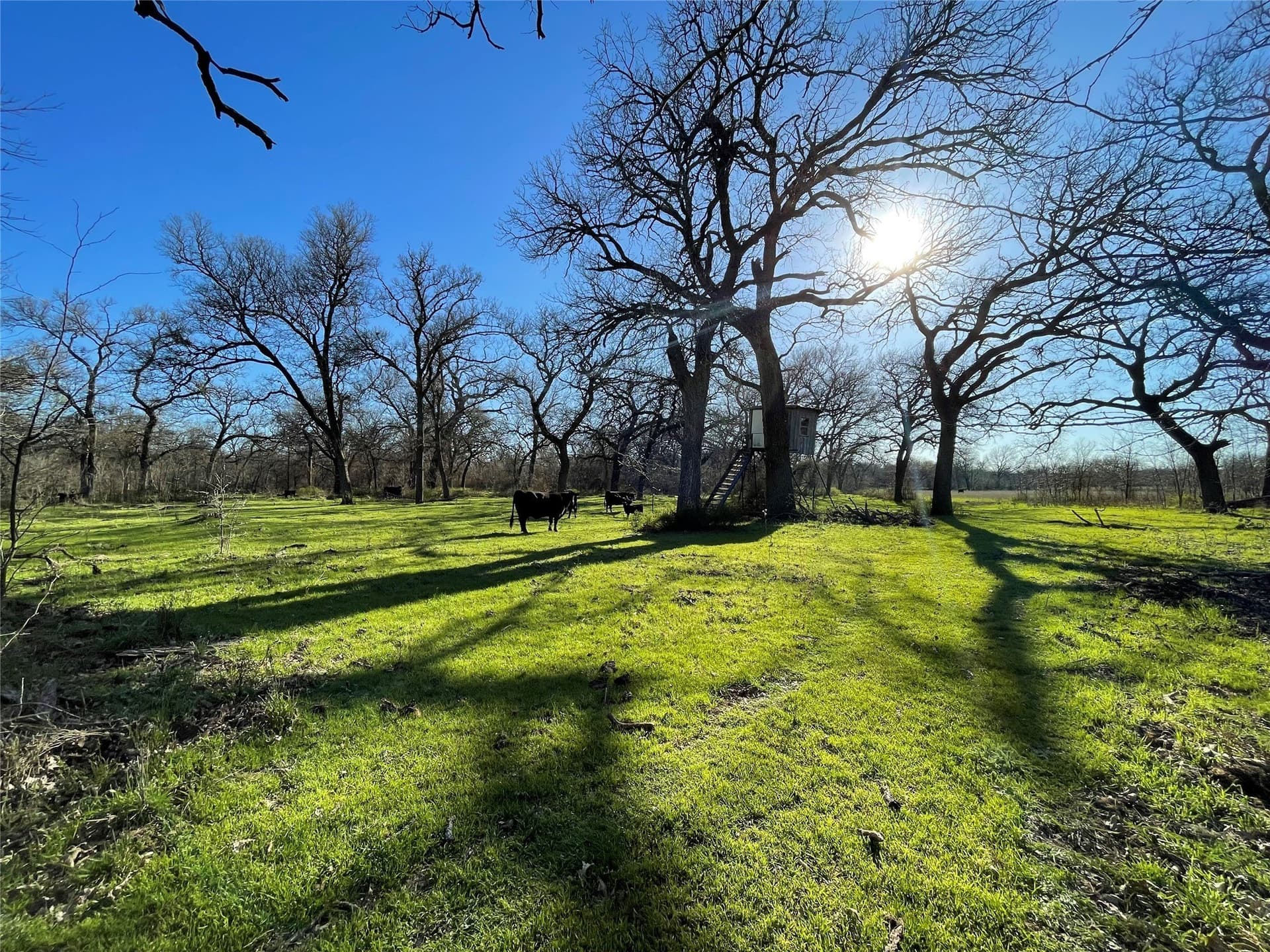 272.57 acres in Jack County - photo 21
