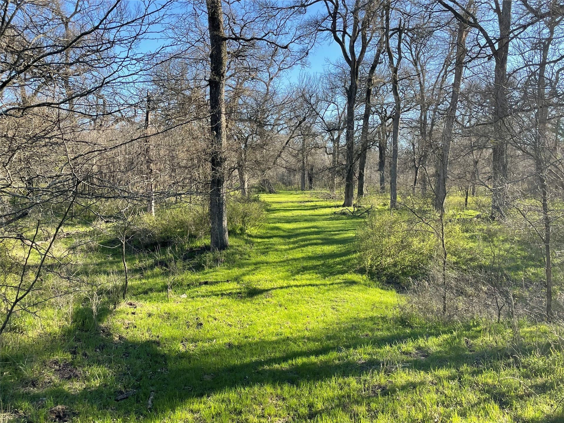 272.57 acres in Jack County - photo 23