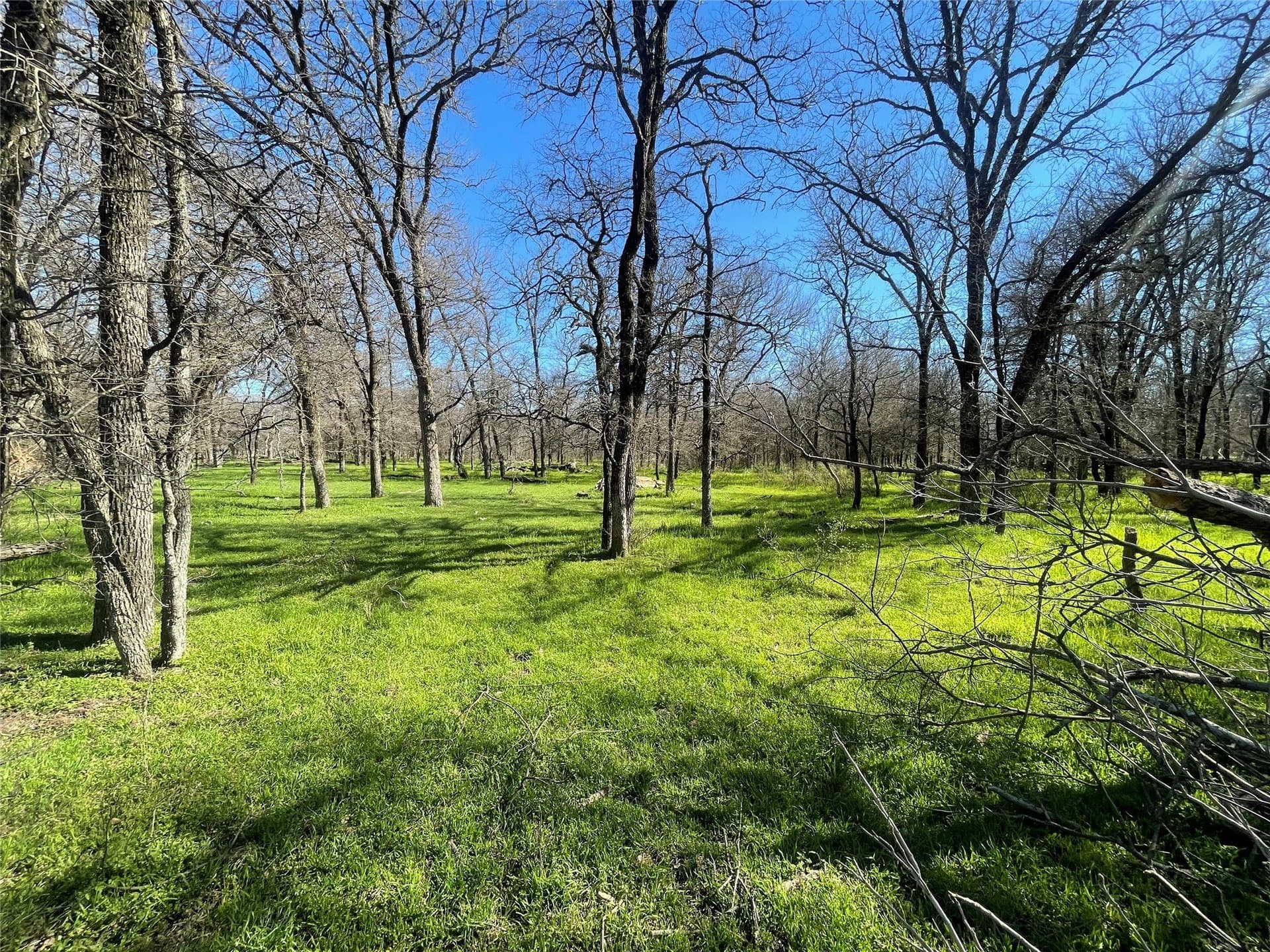 272.57 acres in Jack County - photo 38