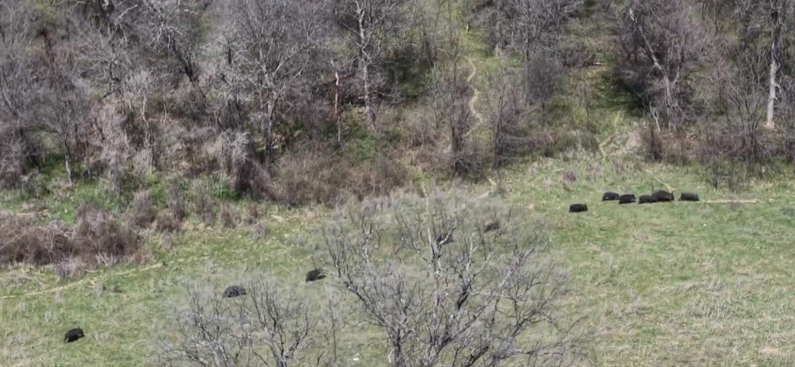 272.57 acres in Jack County - photo 6
