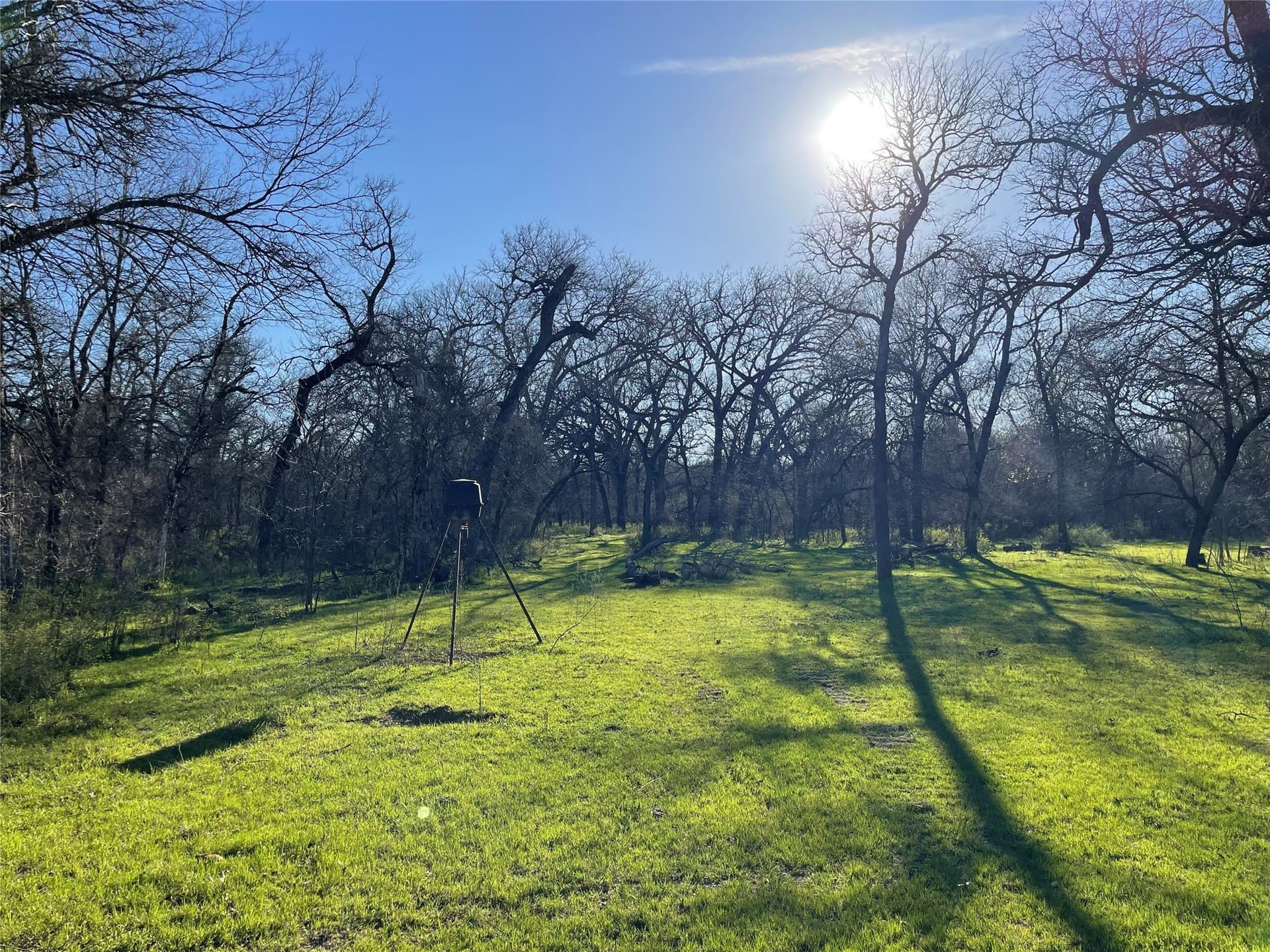 272.57 acres in Jack County - photo 14