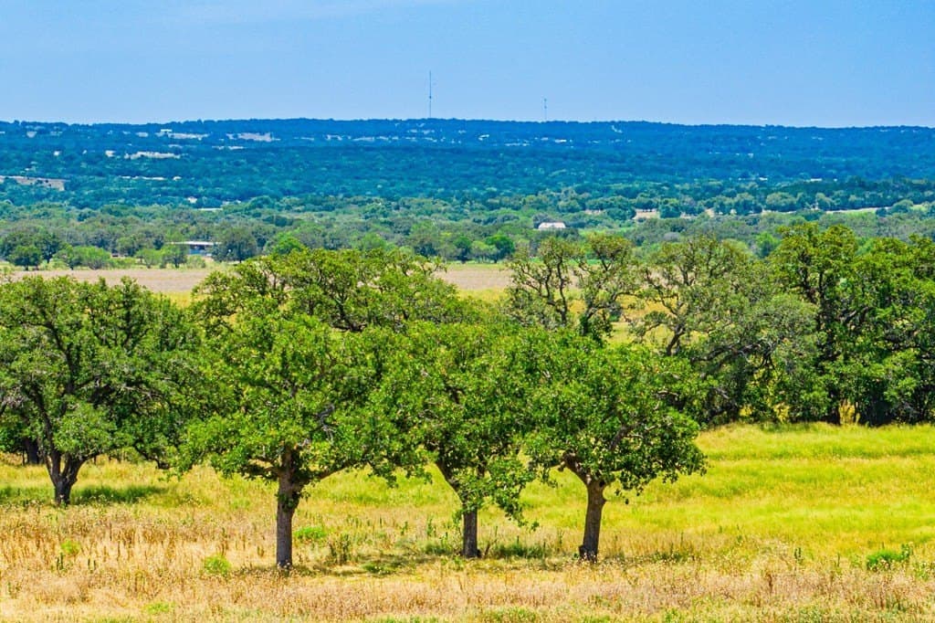 3.79 acres in Gillespie County - photo 6