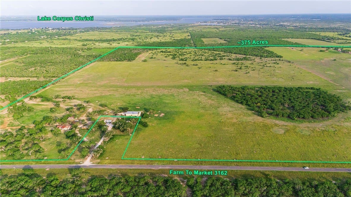 375 acres in Live Oak County - photo 15