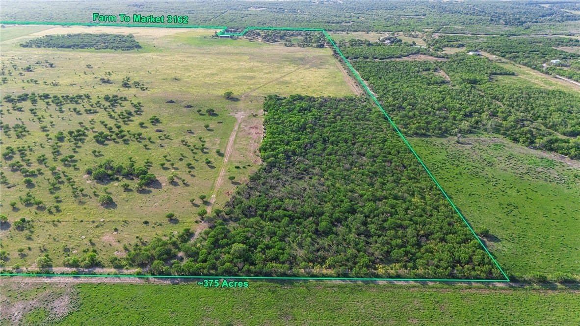 375 acres in Live Oak County featured view