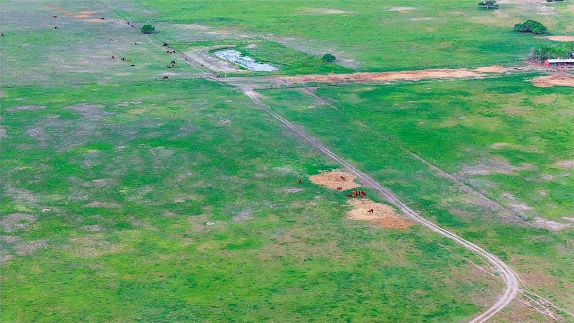 375 acres in Live Oak County - photo 27