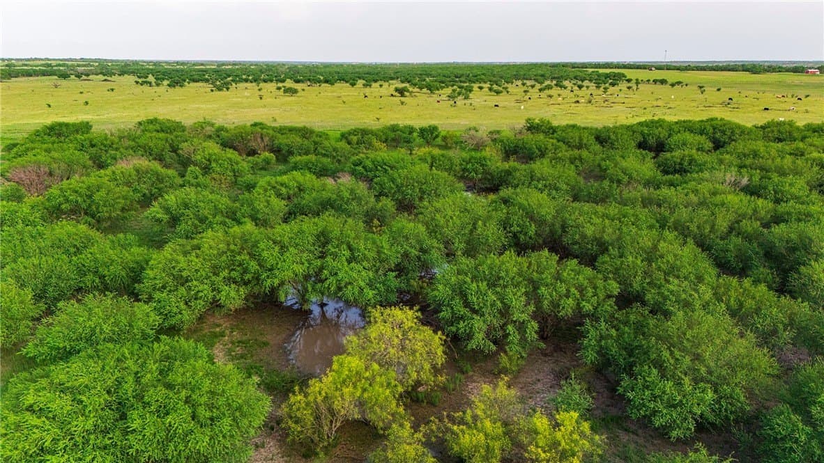 375 acres in Live Oak County - photo 23