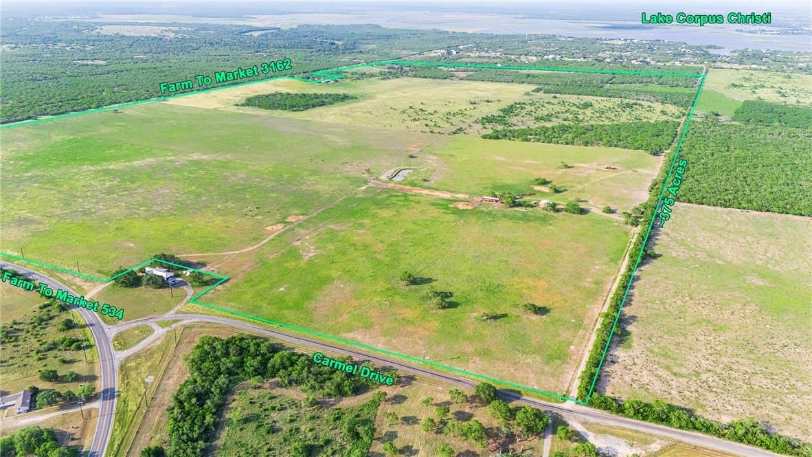 375 acres in Live Oak County - photo 10