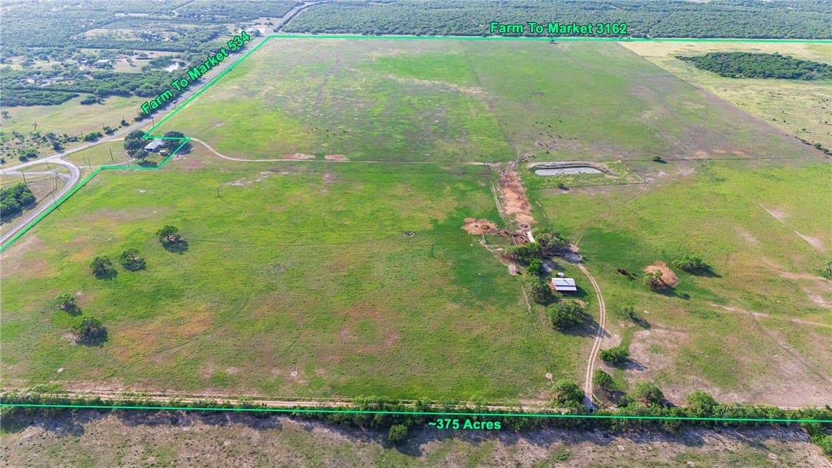 375 acres in Live Oak County - photo 8