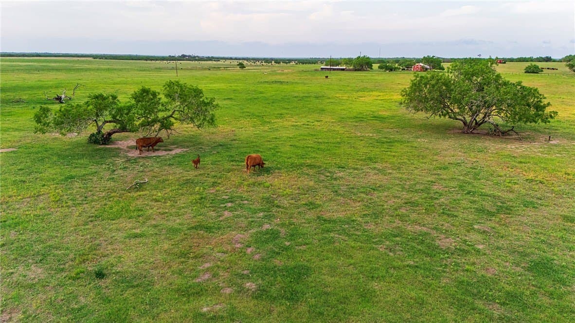 375 acres in Live Oak County - photo 30
