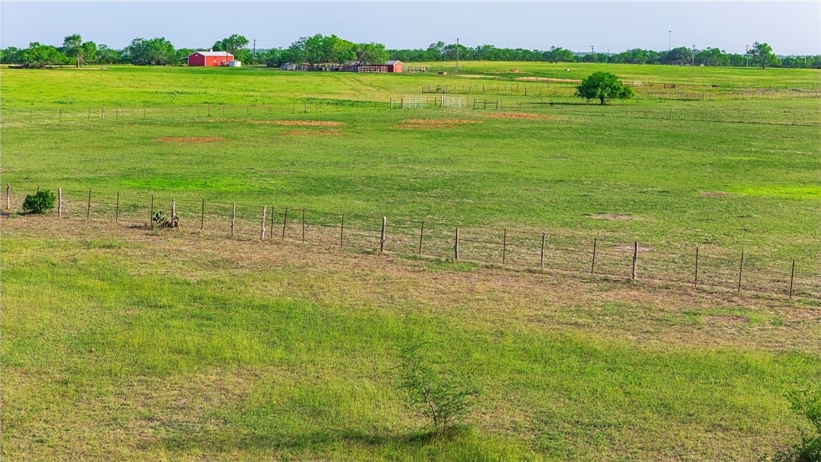 375 acres in Live Oak County - photo 20