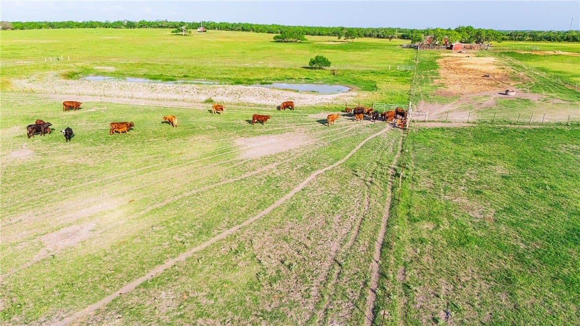 375 acres in Live Oak County - photo 16