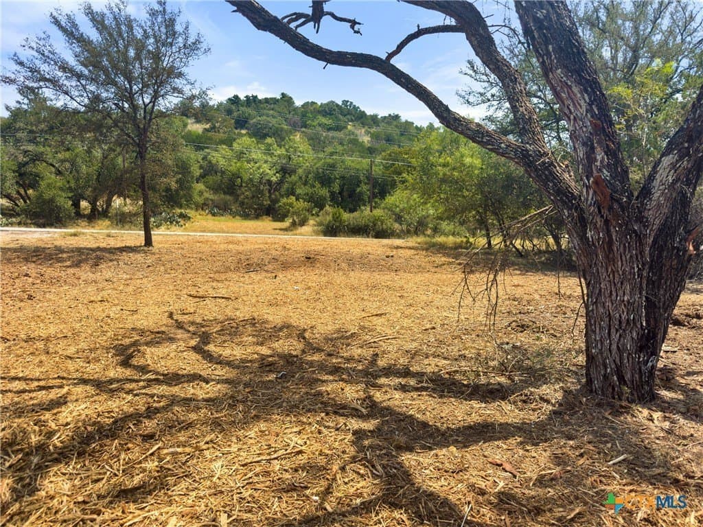 0.2 acres in Llano County - photo 3