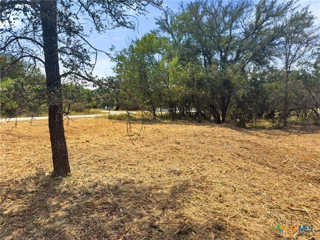 0.2 acres in Llano County - photo 4