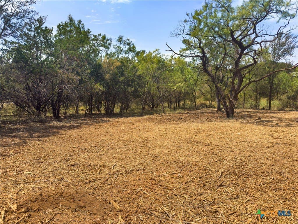 0.2 acres in Llano County - photo 8