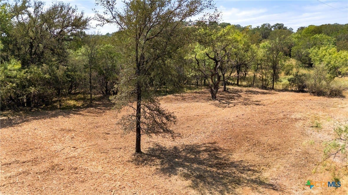 0.2 acres in Llano County - photo 16