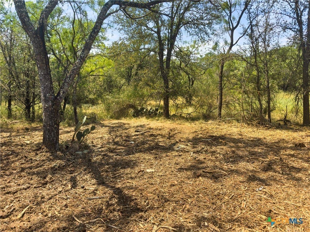 0.2 acres in Llano County - photo 13