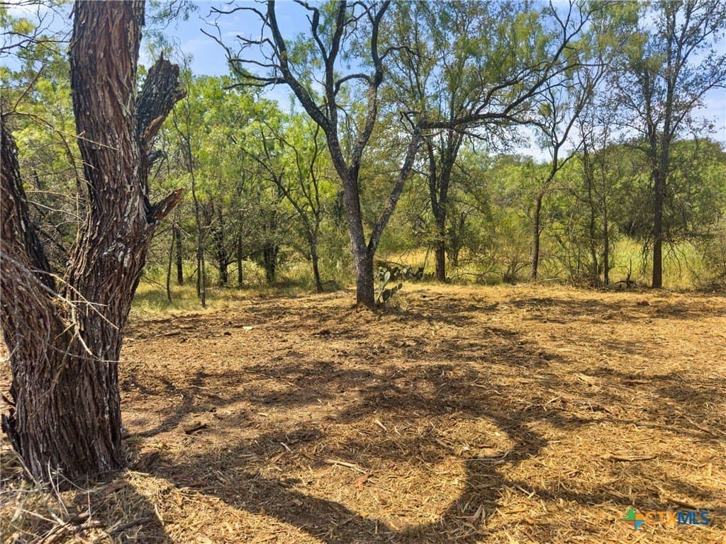 0.2 acres in Llano County - photo 12