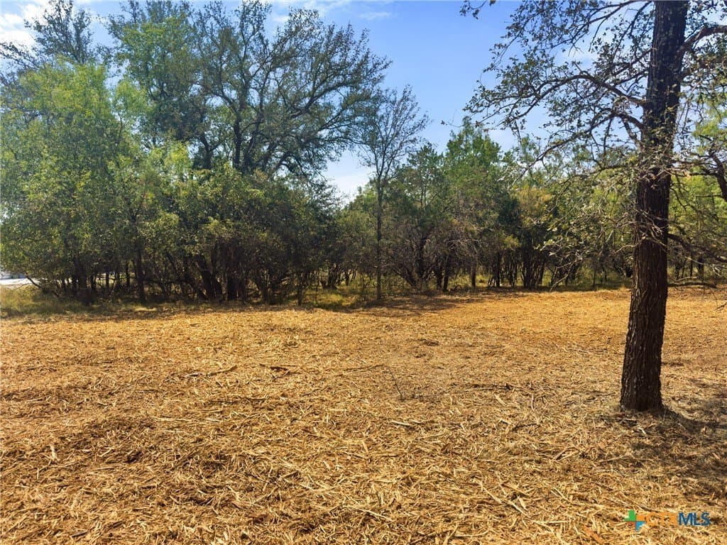 0.2 acres in Llano County - photo 6