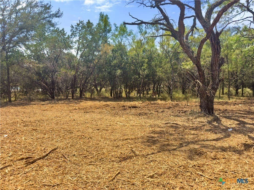 0.2 acres in Llano County - photo 10