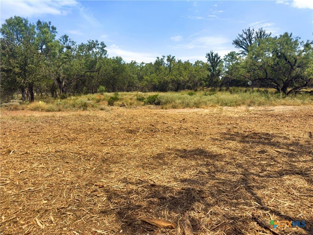 0.2 acres in Llano County - photo 14