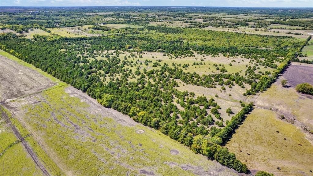 50 acres in Fannin County gallery image 3
