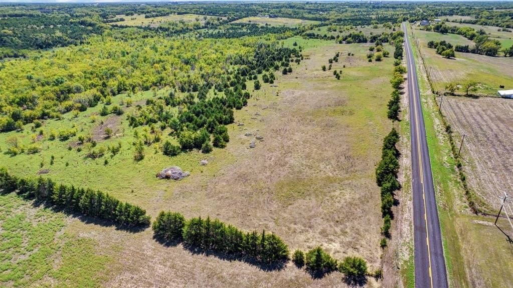 50 acres in Fannin County gallery image 2