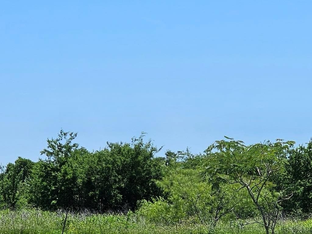 13 acres in Hill County featured view