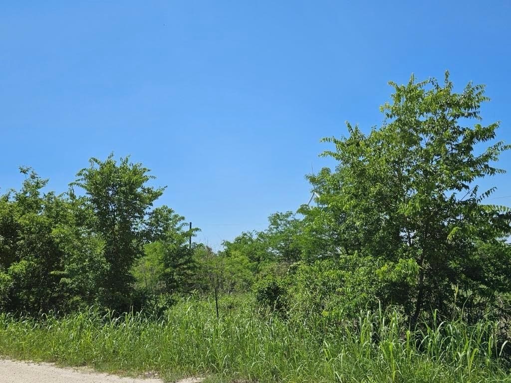 13 acres in Hill County gallery image 3