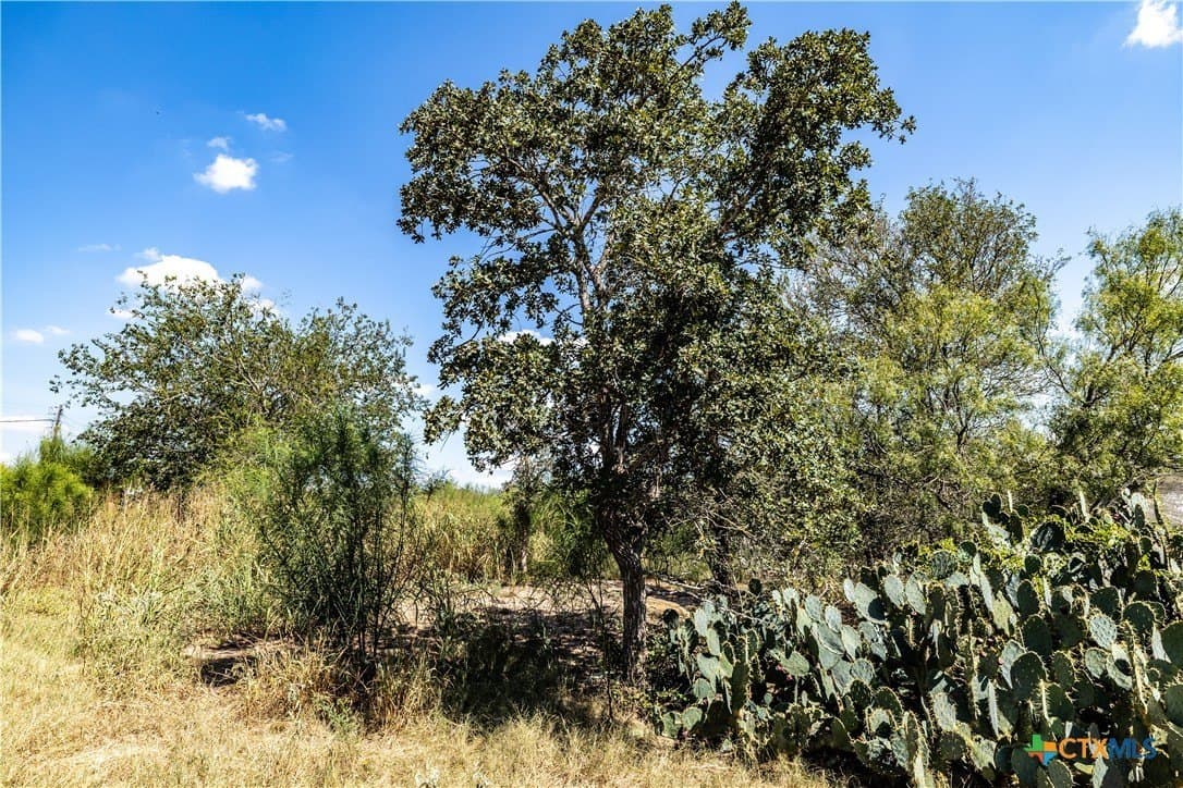 2.7 acres in Caldwell County gallery image 2