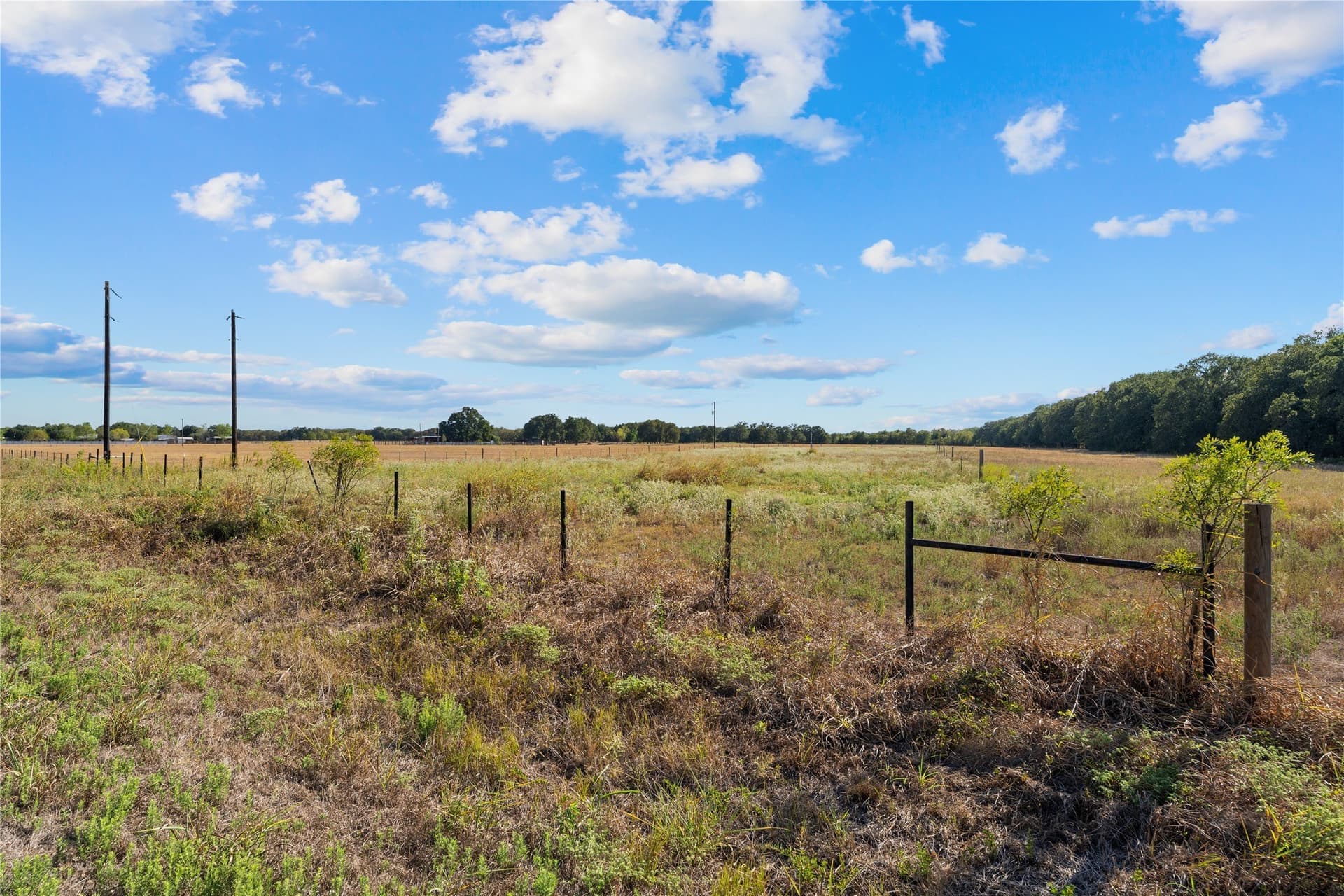 2 acres in Falls County - photo 8
