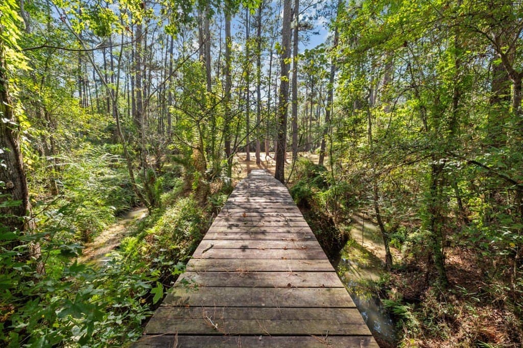 12.34 acres in Texas County gallery image 4