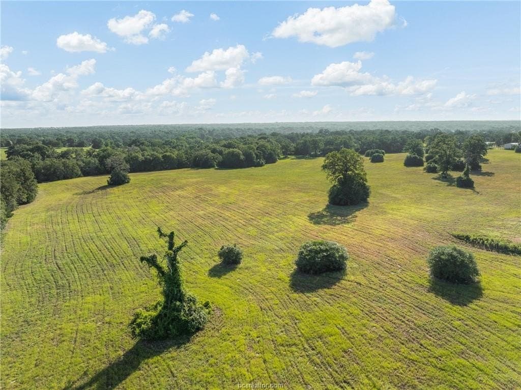 173 acres in Burleson County - photo 22